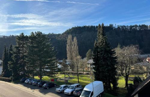 Apartment in Gernsbach - Photo 22