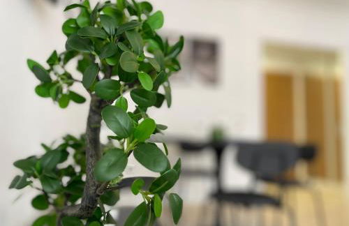 Beach Retreat 2 BR Apartment - Photo 8