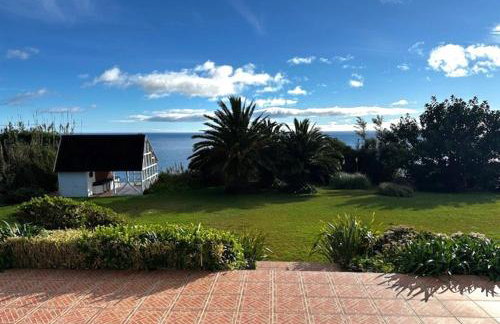 Lobo do Mar - Foto 16