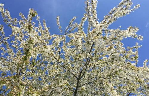 SeeSucht-Apartment No86 mit Terrassen, Sauna & Pool - Foto 29