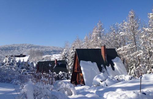 Domki pod Kiczerą w Baligrodzie, Bieszczady - Foto 4