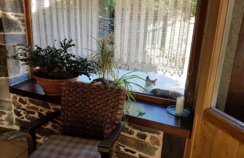 Casa do Estevo - Foto 14