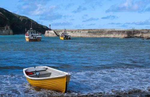 Sea Glimpses Studio Port Isaac - Foto 12