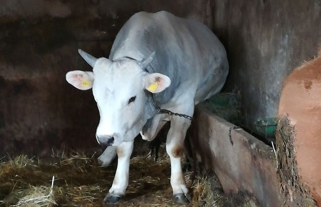 Agriturismo Monti Sibillini Camperato - Photo 33