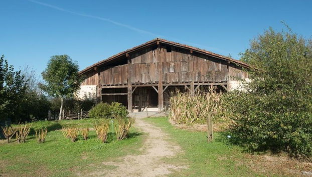 Tour "Basque Farm House & Cider house" + refeição saindo de San Sebastian - Foto 2
