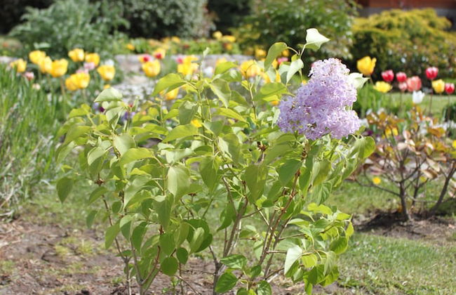 Linda Vista Apart Hotel - Photo 23