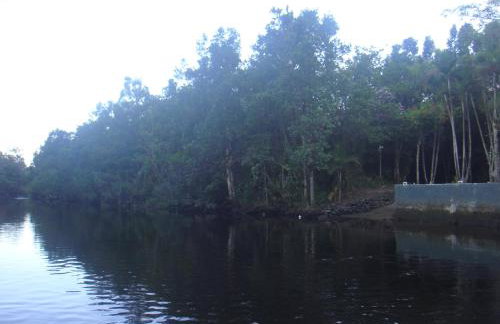 Casa Enorme para 12 pessoas, 4 suites e um fundo com 18mil metros de mata e um pier no rio que sai para o mar-Internet 100MB - Photo 24