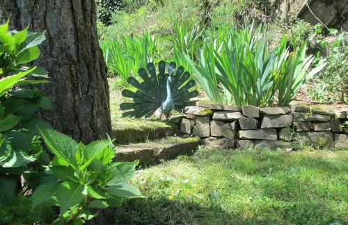 Gîte en bord d'étang et de rivière - Foto 34