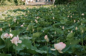 Relais La Foleia - Luxury Villa with private lake - Foto 63