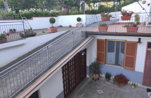 The Gods Brothers - Foto 13