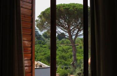 La pigna delle Aci Apartment - Foto 23