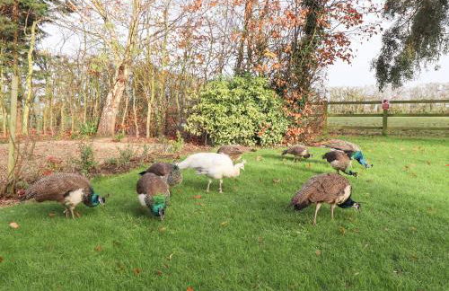 The Granary - Foto 65