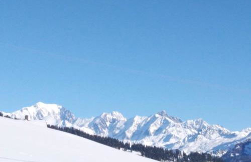 Le Chalet de Bisanne - Foto 16