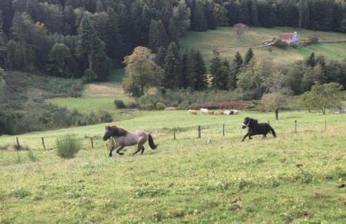 RELAX CHALET Nature Retreat - isolé sur 3 hectares - confort de LUXE - maison entière 150m2 - près de La Bresse - Foto 49