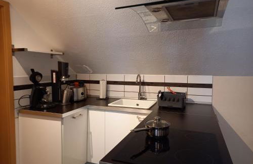 Ferienwohnungen Nibelungenwald - Foto 102