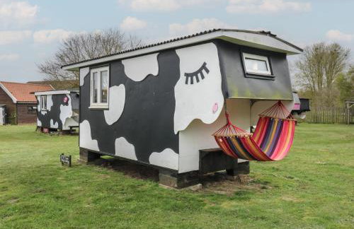 Dozy Dotty Cow Shed 4 - Foto 1