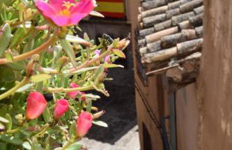 La Casa de Jabe - Toledo Casco Antiguo - Foto 8