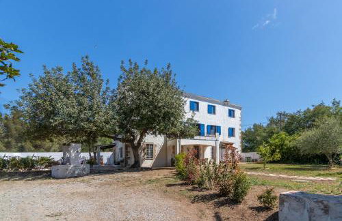 Mas Tinus - Lavanda - Foto 37