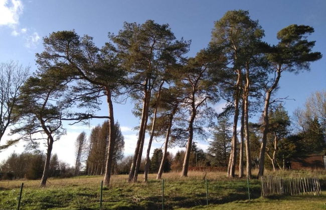 Apartment in Belgium With Bubble Bath - Foto 37
