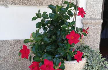 THE RIVER HOUSE - Termas Guesthouse - Foto 33