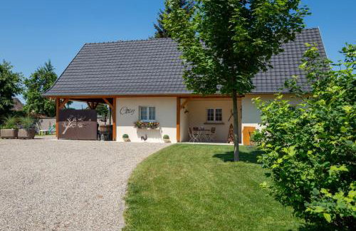 Gîte Cosy L'Ecrin du Ried PROCHE EUROPA-PARK - Foto 6