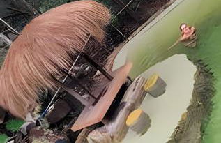 Sítio Piscina natural, Trilha e Cachoeira - Foto 39