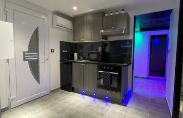 BELLE APPARTEMENT STUDIEUX CENTRE VILLE - Photo 6