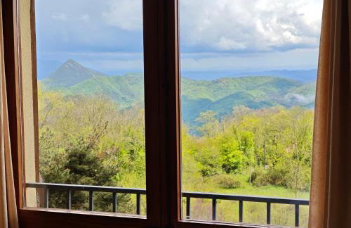 Ca l'Oriol - Photo 12