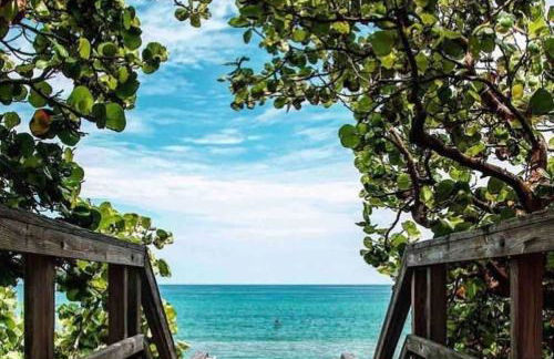 The Golden Hour - Foto 67