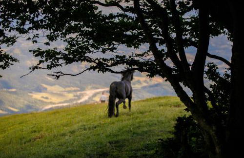 Agriturismo Carovane - Photo 28