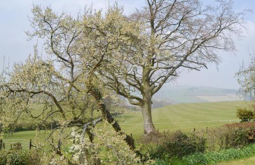 Mavis Cottage - Foto 12