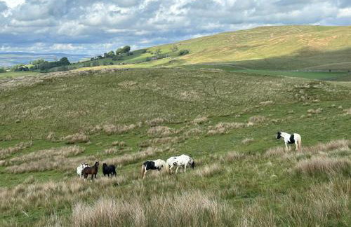 The Green Hayloft, Lakes & Dales - Photo 34