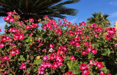 La villa dei girasoli - Foto 4