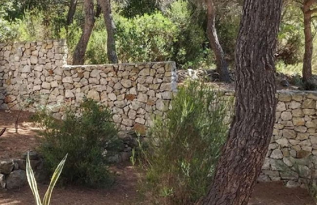 Eli - for Nature Lovers - A2 - Foto 12