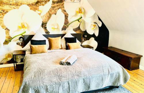 65qm Luxus Apartment mit Whirlpool Saarbrücken Uni Nähe - Foto 19