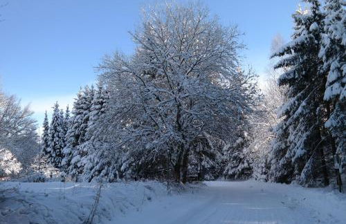 Ferienwohnungen Haus Zeier - Foto 47