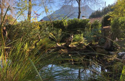 Haus Bullachberg - Foto 25