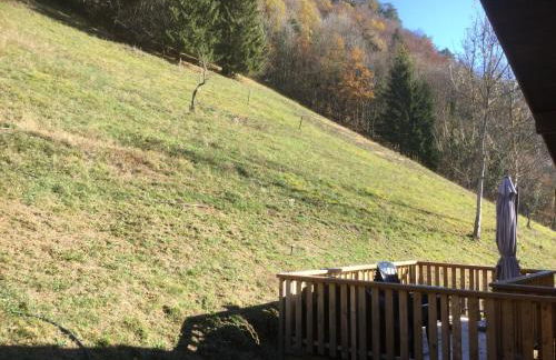 Le chalet de Bernoline vaste appartement tout confort - Foto 23