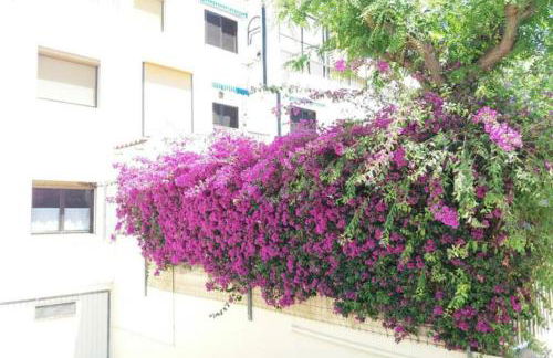 Bungalow con encanto, 100m2, a 800 m de la playa - Photo 20