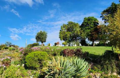 Casa Floravista - Foto 12