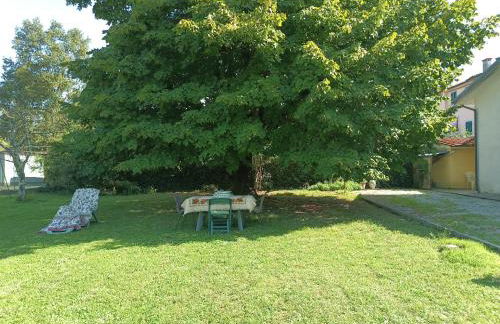 Appartamento Happy Garden - Foto 9