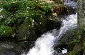 Ferienwohnung Rathke - Foto 24