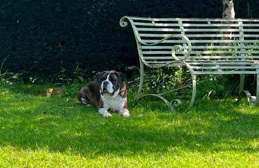 Lower Mill 2 Cottage Broadway - Foto 7