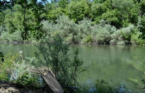 Beautiful Cottage Rental with Private River Beach on the Russian River, California - Foto 21