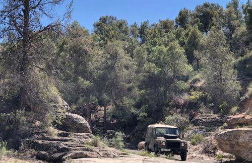 LAS DUNAS Caves - Granado - Foto 25