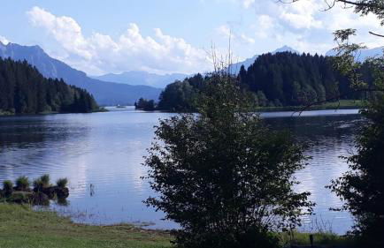 Fewo Allgäufreund - Foto 17