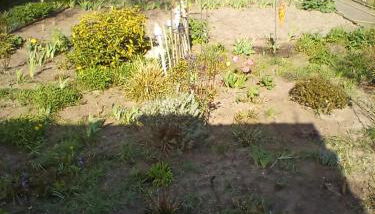 Ferienwohnung Fritz - Foto 4, Garden