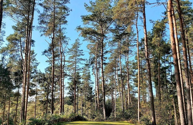 6 Person Holiday Home in Gjern-by Traum - Photo 36