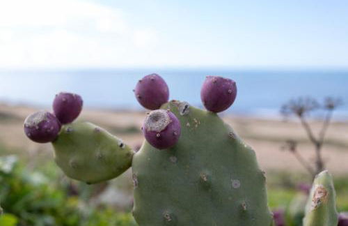 Sea view house, Ponente- Centosicilie - Foto 19