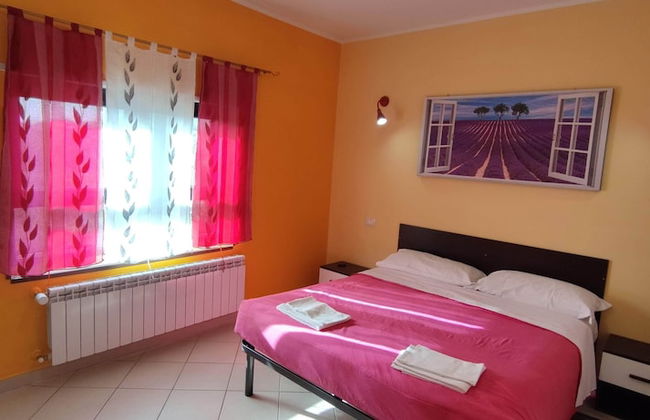 Appartamenti Turistici Aurora - Photo 13